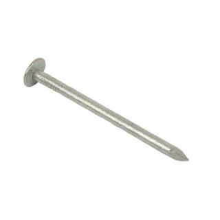 Galvanised Extra Large Head Clout Nails 20mm - 500g
