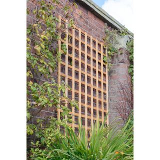 Grange Heavy Duty Golden Square Trellis 1200 x 1828 x 30mm