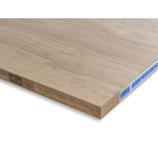 Flamebreak Plywood Faced Door Blank 44 x 915 x 2135mm