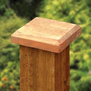 Flat Timber Post Cap 22 x 100 x 100mm