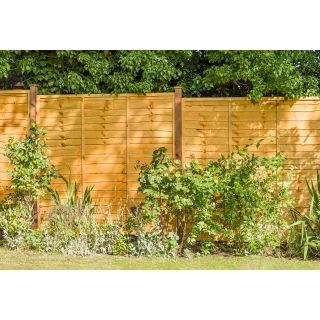 Grange Superior Golden Brown Lap Fence Panel 1500 x 1828mm