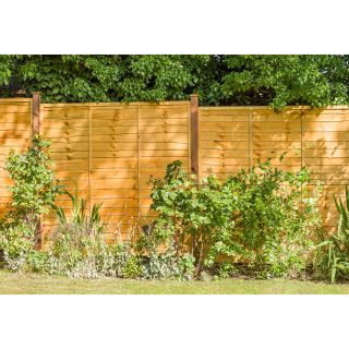 Grange Superior Golden Brown Lap Fence Panel 1800 x 1828mm