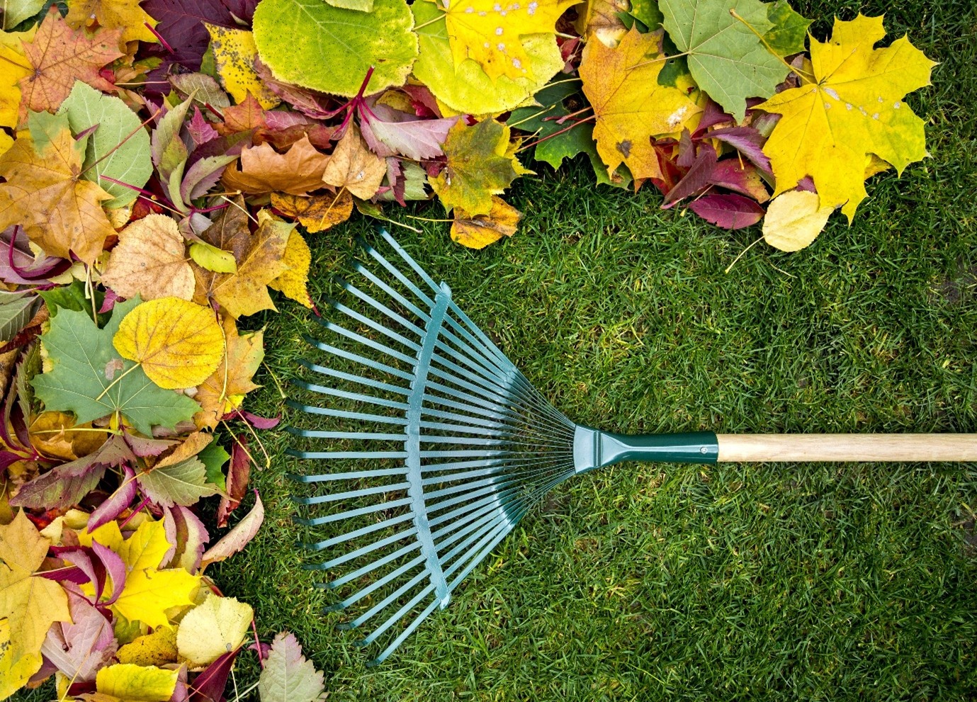 Get your home and garden ready for Autumn 